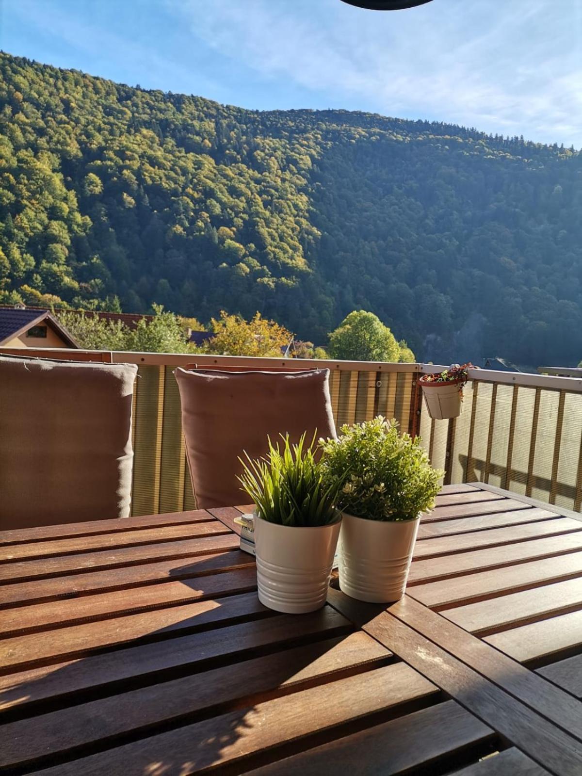 Miro Apartament Sinaia Exterior photo